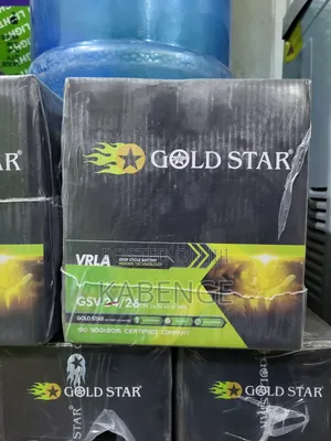 Gold Star GSV 24/24 12V VRLA Deep Cycle Battery