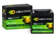Gold Star GSV 24/24 12V VRLA Deep Cycle Battery - 2