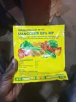 Agriculture Seeds & Farm Chemicals - 2