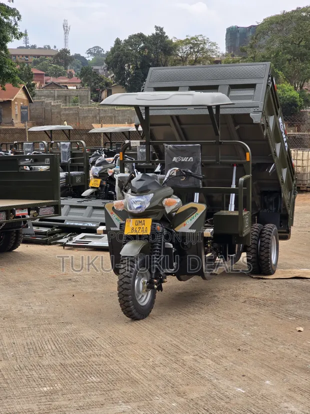 New 300cc Tricycle Tipper - Green - 1