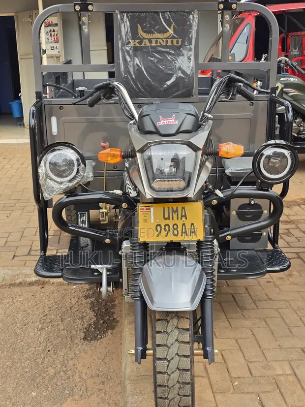 Brand New Kainiu 250cc Tricycle - Gray - 1