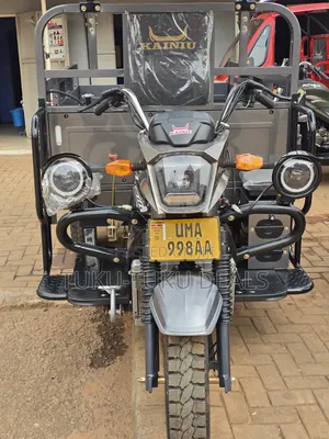 Brand New Kainiu 250cc Tricycle - Gray