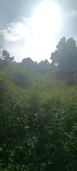 Private Mailo Land for Sale, Bweya Kitende Entebbe Road - 4