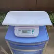 Digital Baby Weighing Scale - 1