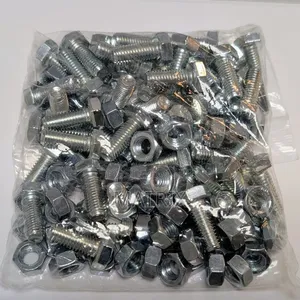 Nuts & Bolts for Slotted Angle (Pack of 100)