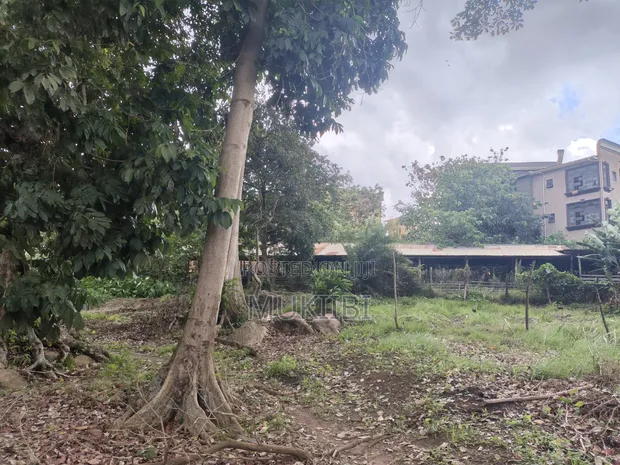 7 Acres Free Land with Title in Kira - 1