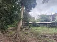 7 Acres Free Land with Title in Kira - 1