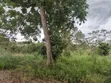 7 Acres Free Land with Title in Kira - 3