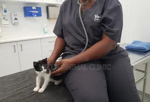 Vetlit Animal Clinic: Pet Wellness Checks