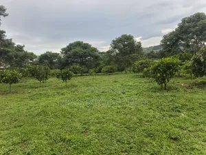 Commercial Land for Sale - 56 Acres, Kyenjojo