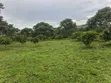 Commercial Land for Sale - 56 Acres, Kyenjojo - 1