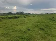 Commercial Land for Sale - 56 Acres, Kyenjojo - 4