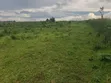 Commercial Land for Sale - 56 Acres, Kyenjojo - 5