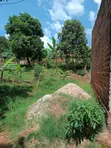 Commercial Land for Sale in Nsangi Town - 2