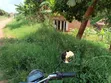 Commercial Land for Sale in Nsangi Town - 3