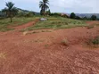 Entebbe-Ssisa (Lutaba) Land for Sale - 2