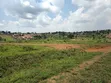 Namugongo - Ssonde Land for Sale - 2