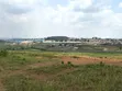 Namugongo - Ssonde Land for Sale - 3