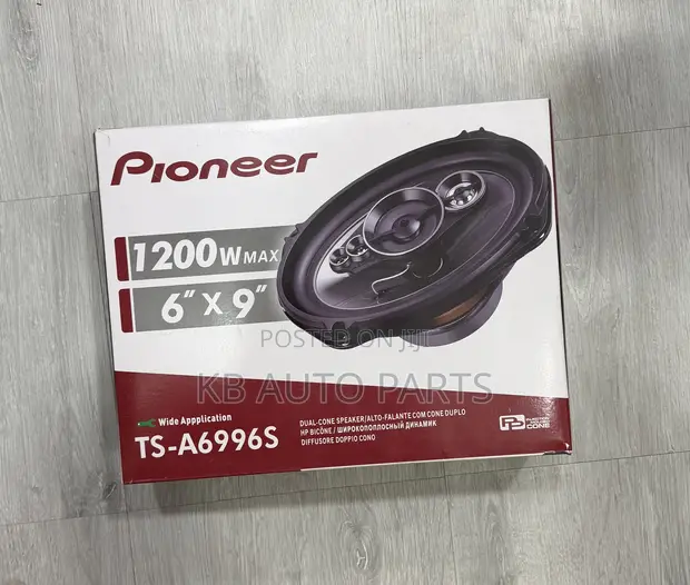 Pioneer Car Door Speakers (Oval) - 1