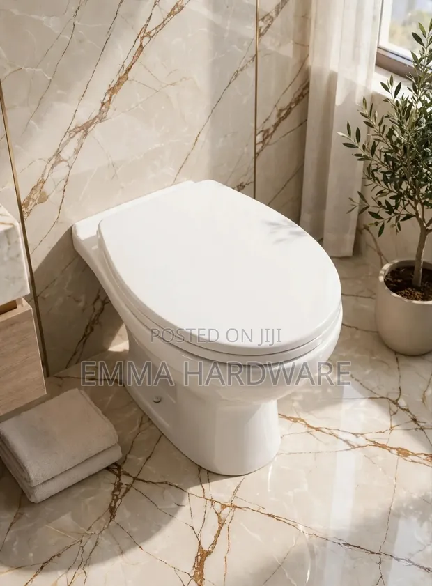 Toilet Seat with Covers - ACE Brand - 1