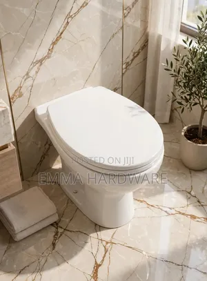 Toilet Seat with Covers - ACE Brand