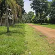 3 Acres Lake Shore Land for Sale - Garuga, Entebbe Road - 2