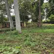 3 Acres Lake Shore Land for Sale - Garuga, Entebbe Road - 4
