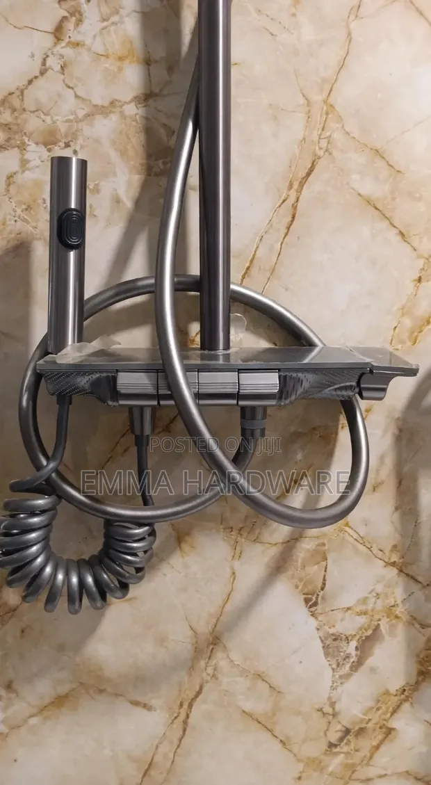 Brand New ACE Shower Mixer - 1