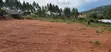 Land for Sale - Kitende Kaga, Entebbe Road - 3