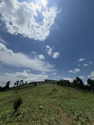 12 Acres Farmland with Ready Mailo Title in Luwero