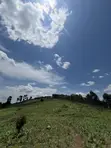 12 Acres Farmland with Ready Mailo Title in Luwero - 1