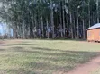 9 Acres Waterfront Land for Sale in Entebbe - 4