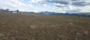 4000 Acres Farmland for Sale in Kween District