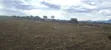 4000 Acres Farmland for Sale in Kween District - 2