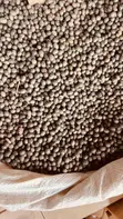 Assorted Grains and Flours - 3
