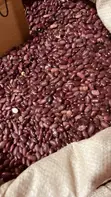 Assorted Grains and Flours - 4
