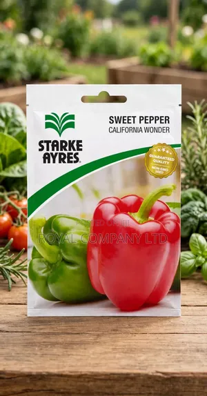 1st Choice Hybrid Sweet Pepper Seeds