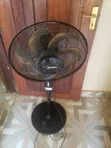Midea Electric Stand Fan - Black - 2