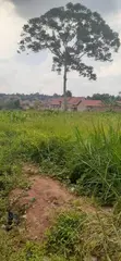 Private Mailo Plot for Sale, Gayaza Road, 12 Decimals - 2