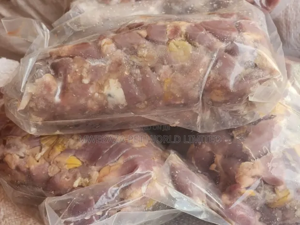 Chicken Gizzards for Dogs & Cats - 1