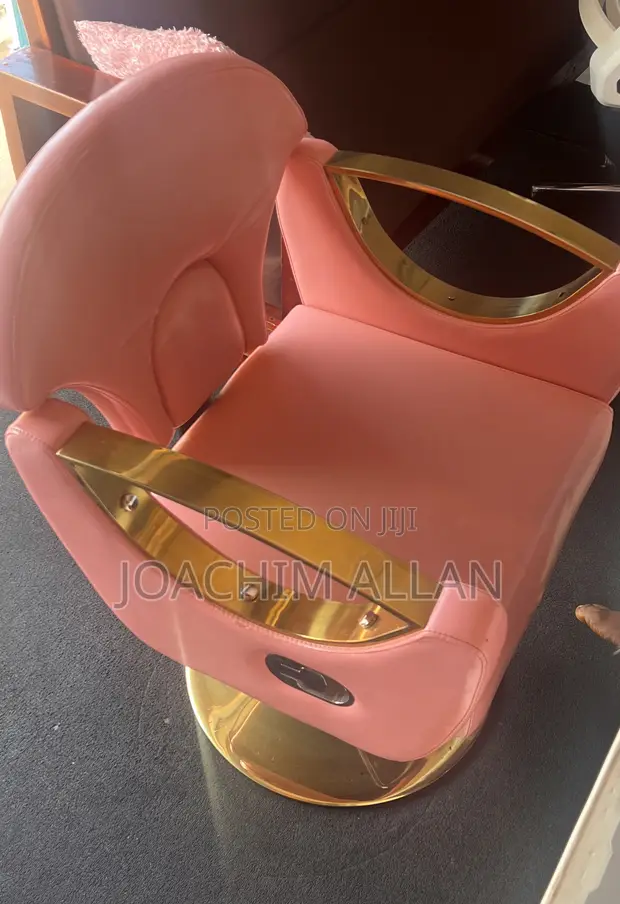 Salon Client Chair - 1