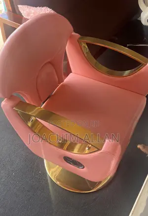 Salon Client Chair