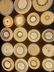 d.light Color Changing Ceiling Lights - 2