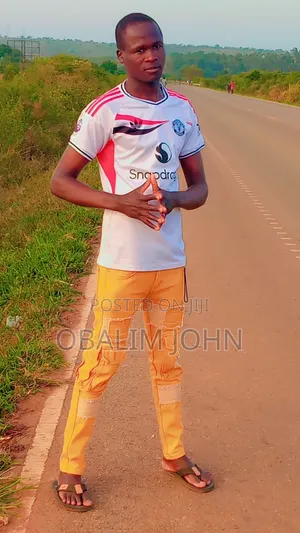 House Cleaner and Security Guard Seeks Employment
