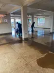 Cleaning, Fumigation & Pest Control Services by Jophs Ark - 3