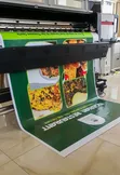 Roll Up Banners Printing - 3