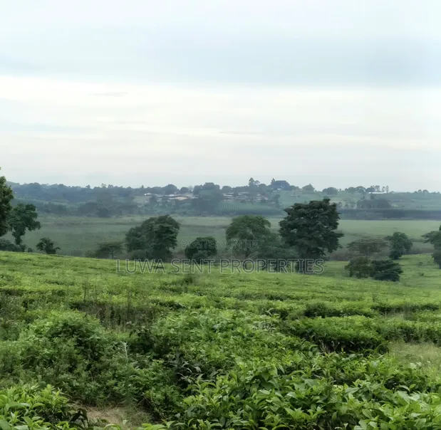 200 Acres Private Mailo Land for Sale in Nakaseke, Kakoge - 1