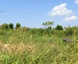 200 Acres Private Mailo Land for Sale in Nakaseke, Kakoge - 2