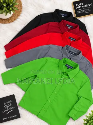 Men's Office & Casual Shirts