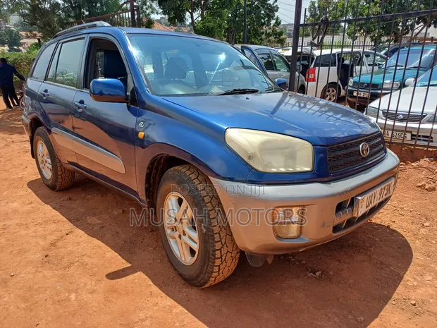 Toyota RAV4 2002 Blue - 1